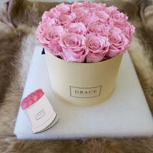 Prachtige Premium rozen die 1 - 3 jaar bloeien